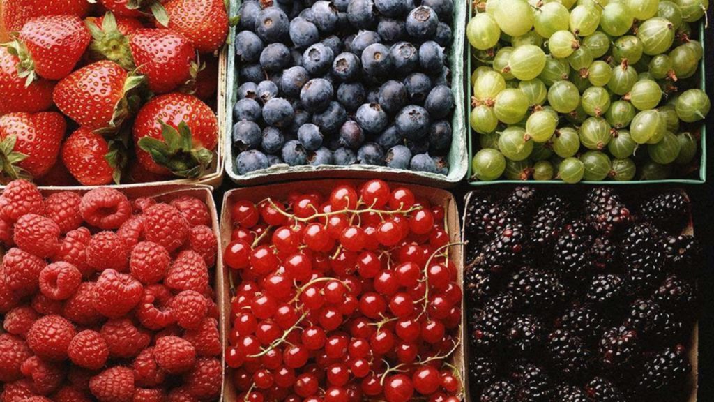 Экспорт украинских ягод и фруктов рекордно вырос. И будет расти еще, если... 1