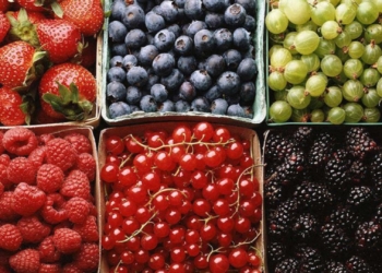 Экспорт украинских ягод и фруктов рекордно вырос. И будет расти еще, если…