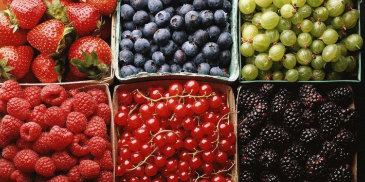 Экспорт украинских ягод и фруктов рекордно вырос. И будет расти еще, если…