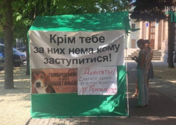 Волонтеры обвинили Лидию Шуст в доведении “атошника” до самоубийства  и поставили ультиматум “зоозащитникам”