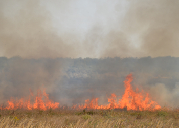 В Николаеве горит территория бывшего водохранилища