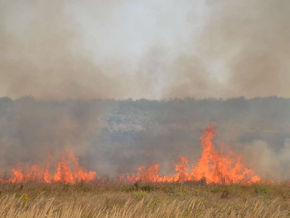 На Николаевщине спасатели за сутки тушили более 4 гектаров пожаров в полях 1