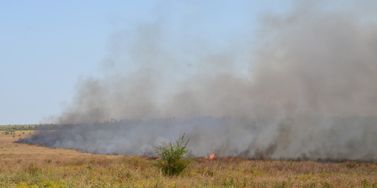 В Николаеве горит территория бывшего водохранилища
