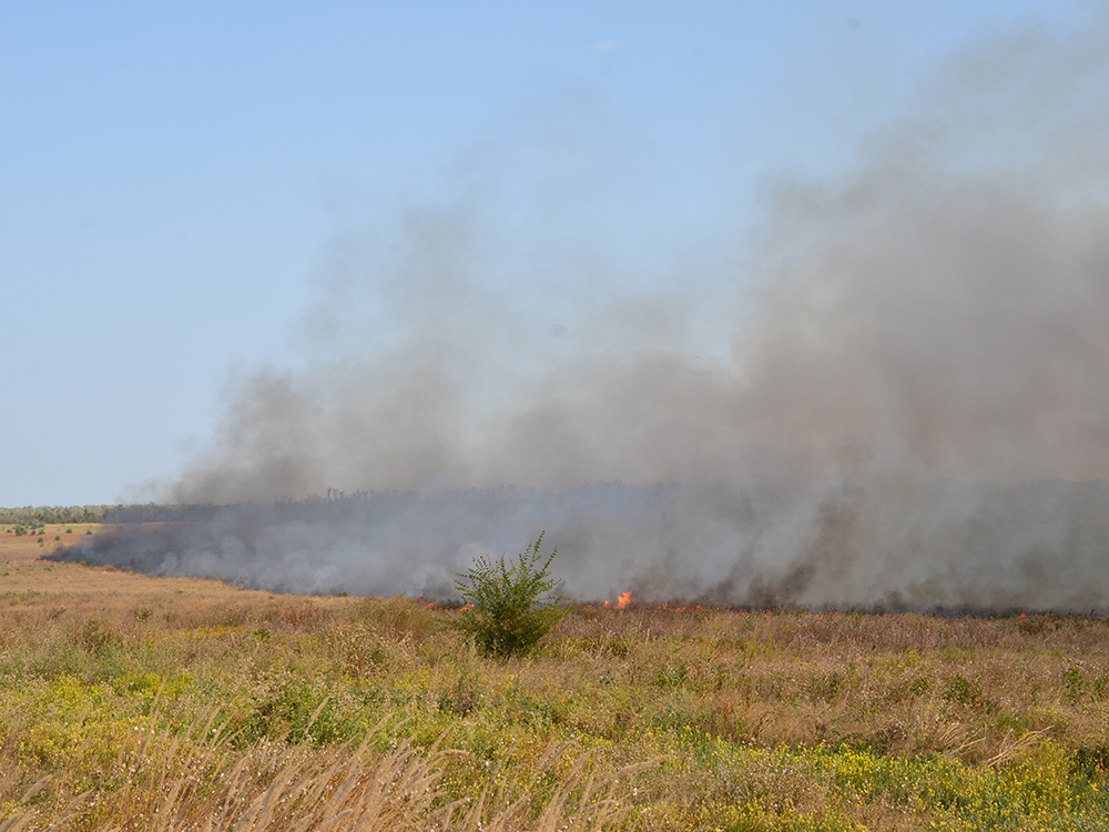 В 7 областях Украины объявлена чрезвычайная пожарная опасность 1