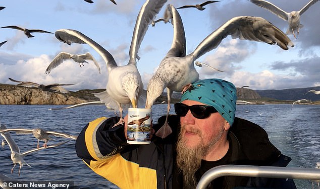 Не ради себя, а ради орланов: как норвежский капитан поит чаек чаем 1