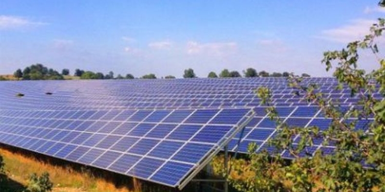 В Березанском районе на Николаевщине новые солнечные батареи появятся на 111 га