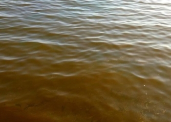 Почему «поржавела» морская вода на одесских курортах, выяснят экологи