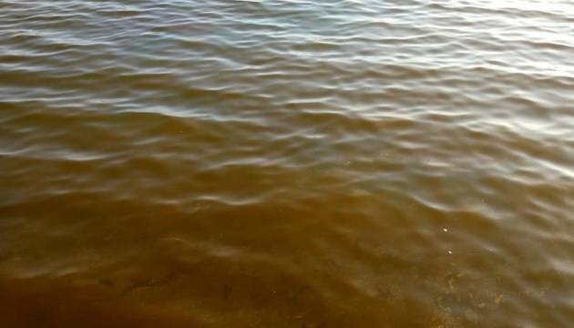 Почему «поржавела» морская вода на одесских курортах, выяснят экологи 1