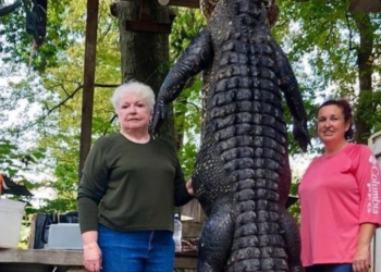 Есть женщины в американских селеньях: прабабушка из Техаса отомстила аллигатору за пропавшего три года назад пони