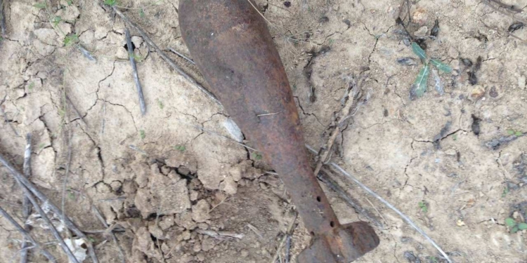 В Новобугском районе нашли артснаряд и мину