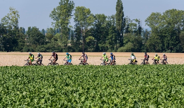 На референдуме жители Швейцарии скажут, что они думают по поводу продовольственной безопасности и велосипедов