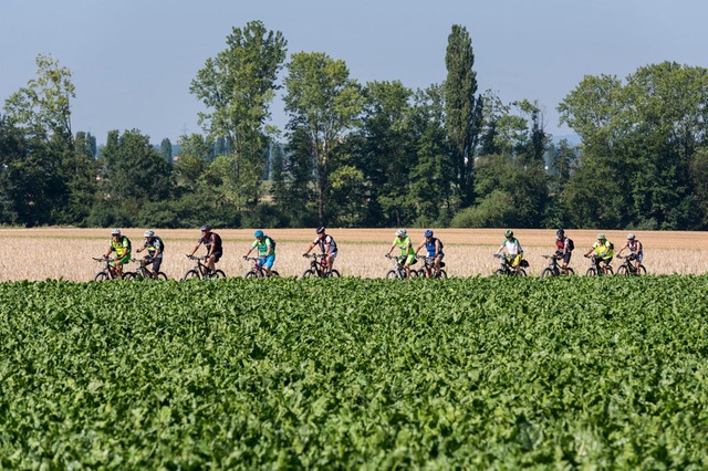 На референдуме жители Швейцарии скажут, что они думают по поводу продовольственной безопасности и велосипедов 1