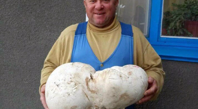 Очень даже грибные на Николаевщине места: сельский житель нашел дождевик весом 5,1 кг