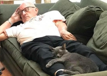 Как учитель испанского языка на пенсии стал в США «кошачьим дедушкой» и собрал тысячи долларов пожертвований для кошачьего приюта