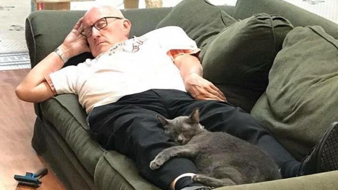 Как учитель испанского языка на пенсии стал в США «кошачьим дедушкой» и собрал тысячи долларов пожертвований для кошачьего приюта 3