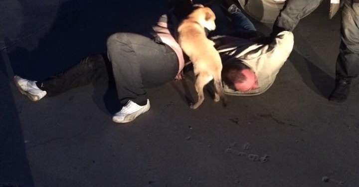 Николаевские патрульные «повязали» двух дебоширов, избивших работника СТО