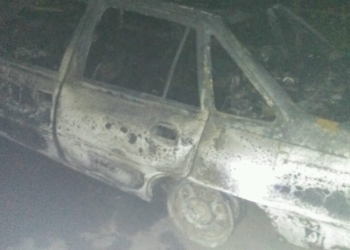 В Братском районе горел комбайн, а во Врадиевском – автомобиль в гараже