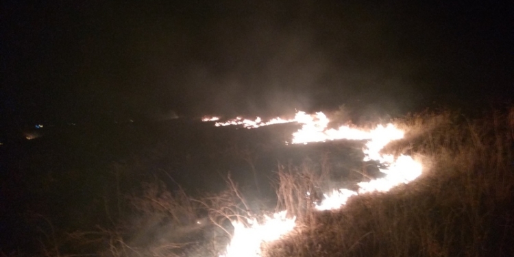 В Николаевской области за прошедшие сутки выгорело свыше 17 га открытой территории