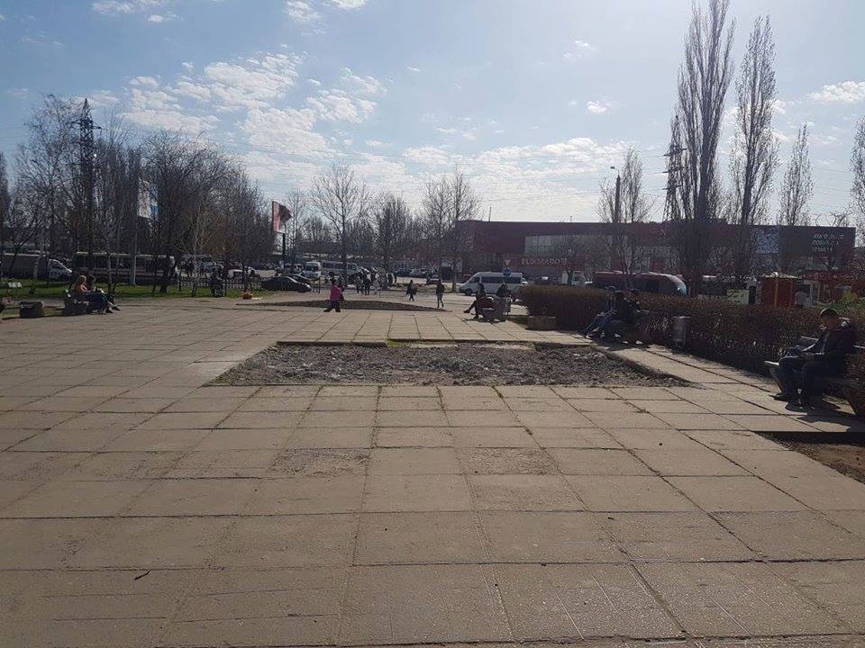 Там, где когда-то был памятник Чигрину: сквер у Николаевского автовокзала украсит декоративное дерево 1