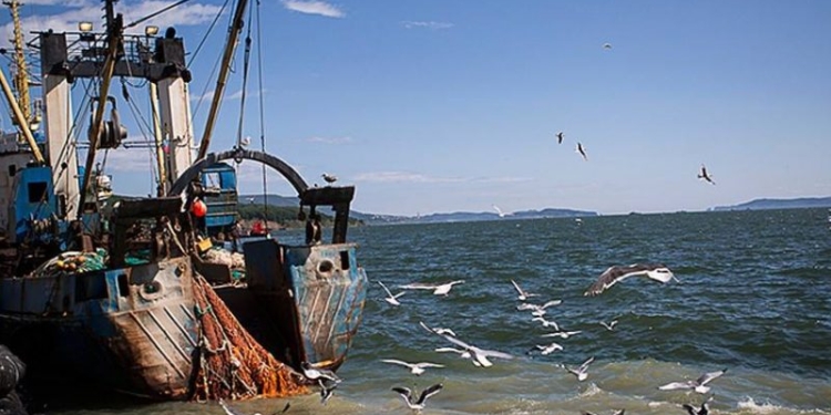 Украинский омбудсмен обратилась в ООН по поводу плененных россиянами очаковских рыбаков с судна «ЯМК-0041»