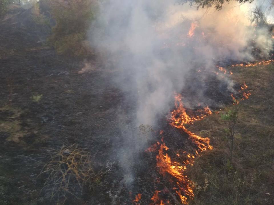 На Николаевщине за прошлую неделю было 8 пожаров в лесных урочищах, причем половина из них – в Матвеевском лесу 1