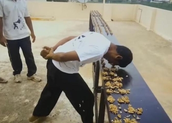 «А еще я ею колю орехи»: индиец расколол 217 орехов за минуту… головой