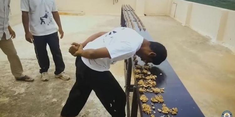 «А еще я ею колю орехи»: индиец расколол 217 орехов за минуту… головой