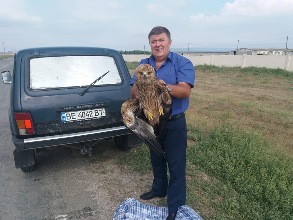 В Николаевском зоопарке приютили найденного сотрудниками НПП «Білобережжя Святослава» птенца орла 2