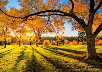 В октябре будет дополнительный выходной