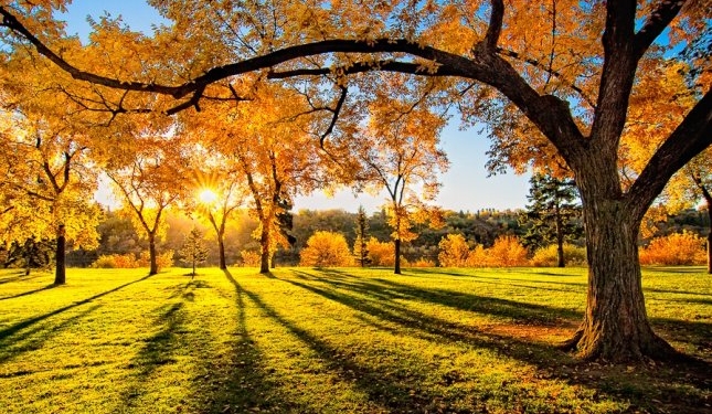 В октябре будет дополнительный выходной