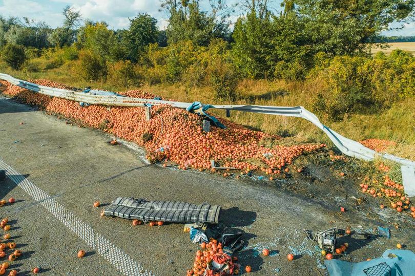 Вот такой компот: в Киевской области молоковоз протаранил фуру с яблоками 4