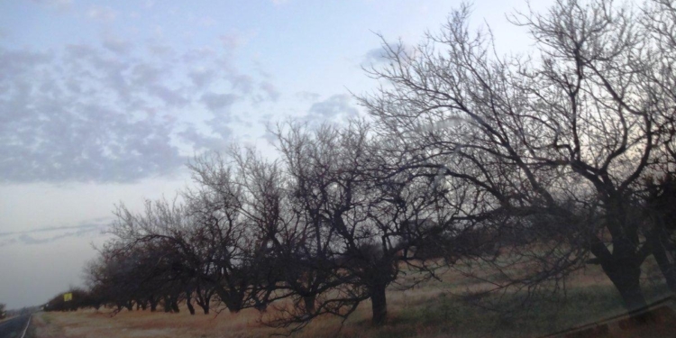 Климкин: российские оккупанты принесли в Крым экологические катастрофы