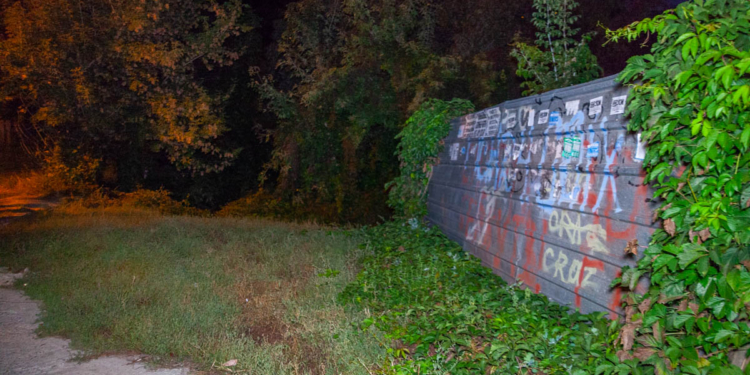 В Днепре прохожие нашли отрубленную голову мужчины