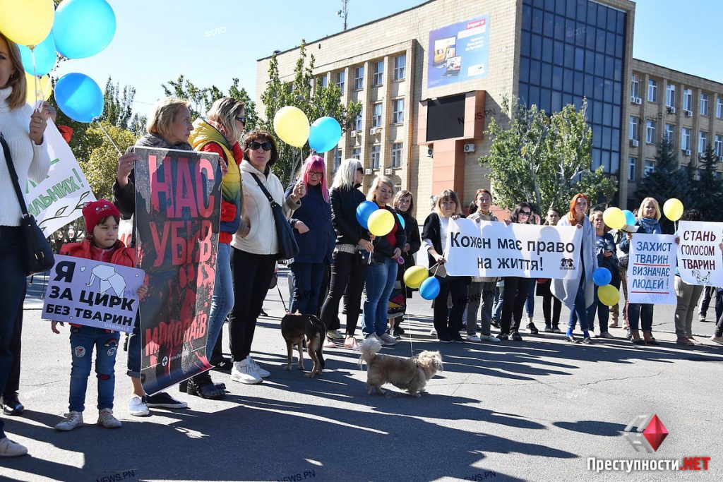 В Николаеве прошел очередной митинг зоозащитников против эвтаназии и за отстранение Голобродского 13
