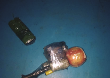 На Николаевщине в одну из колоний пытались перебросить яблоко. Да не простое, а с таблетками