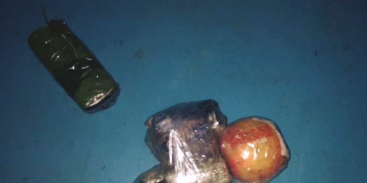 На Николаевщине в одну из колоний пытались перебросить яблоко. Да не простое, а с таблетками