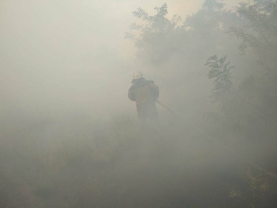 На Николаевщине за прошлую неделю было 8 пожаров в лесных урочищах, причем половина из них – в Матвеевском лесу 3