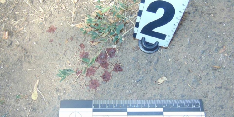 По накатанному сценарию – выпивка, ссора, нож: в Николаеве зарезали 49-летнего мужчину