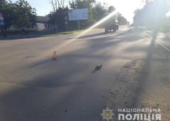 Помогите найти гада! В Николаеве водитель сбил на пешеходном переходе 8-летнего ребенка и скрылся с места происшествия