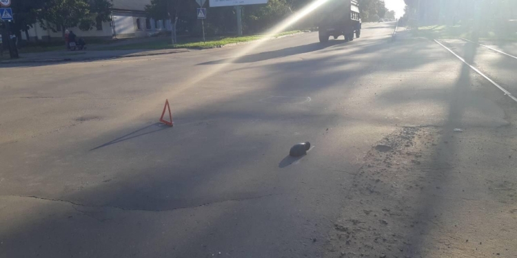 Помогите найти гада! В Николаеве водитель сбил на пешеходном переходе 8-летнего ребенка и скрылся с места происшествия