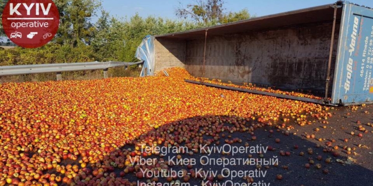 На трассе Киев-Харьков фура высыпала “ковер” из яблок: