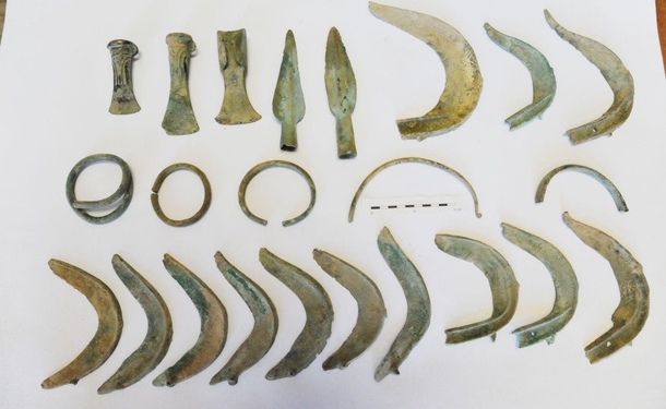 В Чехии собака нашла клад бронзового века