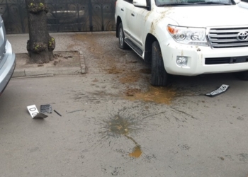 Россия направила Украине ноту протеста за облитые фекалиями авто