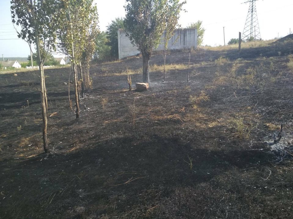 На Николаевщине за прошлую неделю было 8 пожаров в лесных урочищах, причем половина из них – в Матвеевском лесу 5