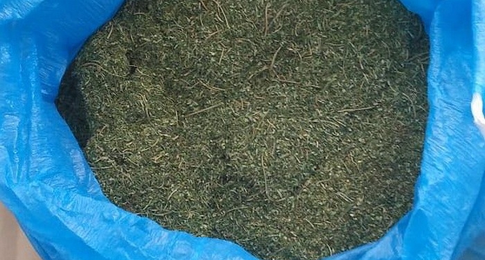 На Николаевщине СБУ блокировала контрабанду наркотических средств в одну из европейских стран – изъяли в общей сложности 8 кг конопли