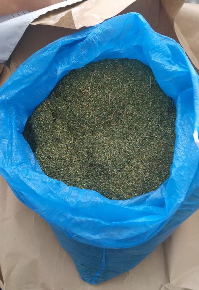 На Николаевщине СБУ блокировала контрабанду наркотических средств в одну из европейских стран – изъяли в общей сложности 8 кг конопли 7