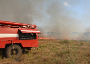 В Николаеве выгорело 4,5 га сухостоя у водохранилища