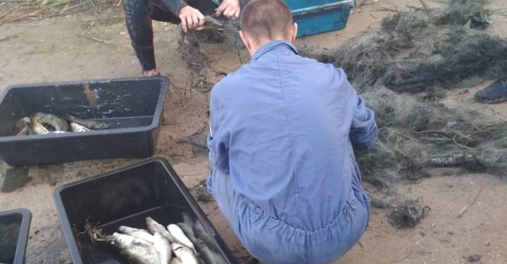 Жители Березнеговатского района браконьерили в Новобугском. Их перехватил Николаевский рыбоохранный патруль