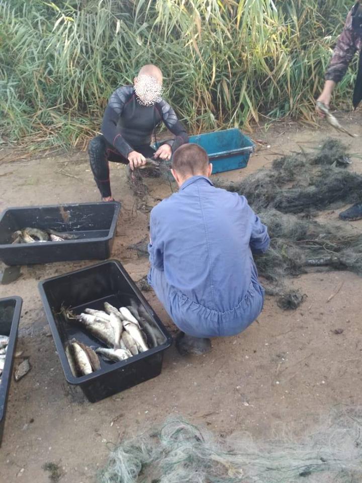 Жители Березнеговатского района браконьерили в Новобугском. Их перехватил Николаевский рыбоохранный патруль 5
