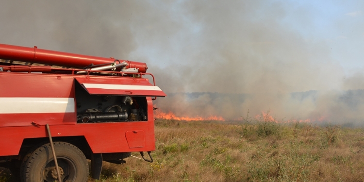 В Николаеве выгорело 4,5 га сухостоя у водохранилища